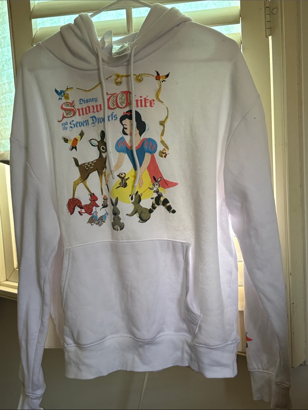 Disney White Snow White & Forest Friends Pullover Hoodie